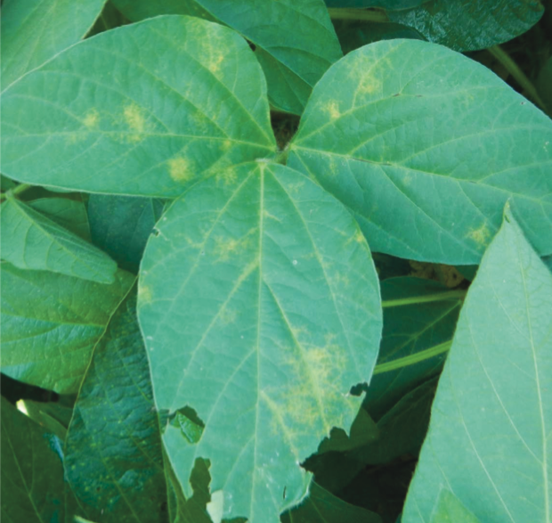 image-image_new_1-2020-10-27-200058.png